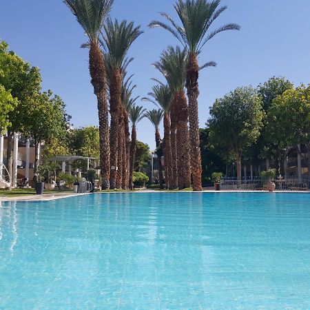 Royal Park- Magical Garden Apartment إيلات المظهر الخارجي الصورة